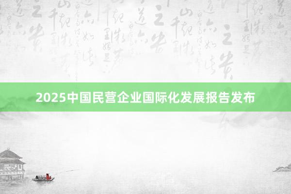 2025中国民营企业国际化发展报告发布